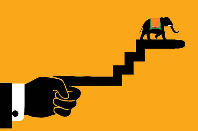 The Democratic Pace of Reforms