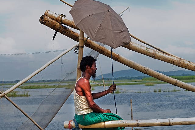 The No-Go Zones of Assam