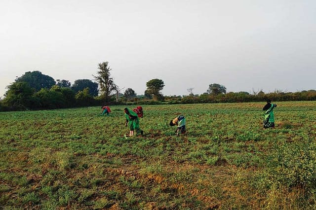 Ladies Without Leisure