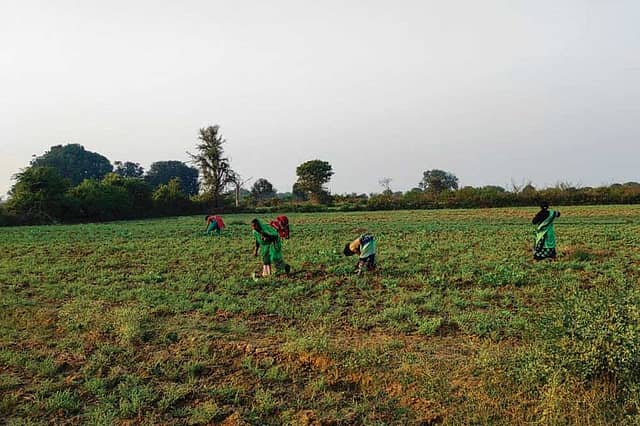 Ladies Without Leisure