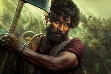 The Southern Spectacle