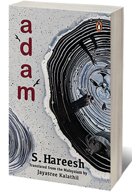 Cover of Adam