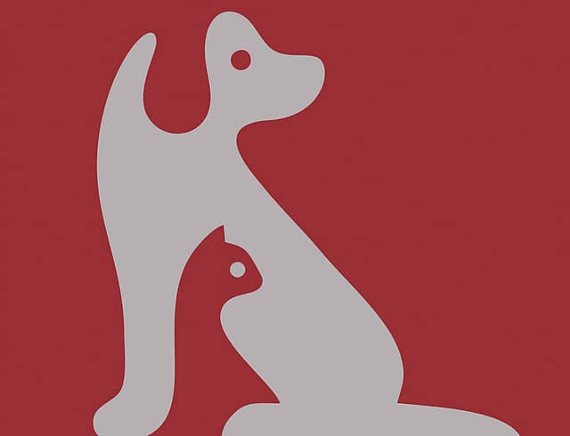 Pet Intimacy
