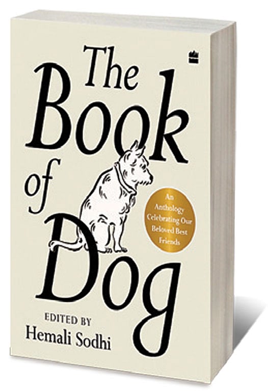 Cover of The Book of the Dog