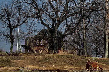 The Future of Kashmiri Pandits