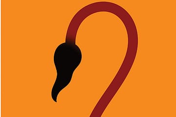 A Portrait of Hanuman