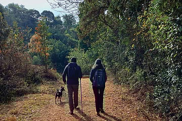 Stories Show the Way