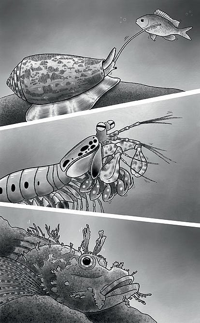 Creatures’ Comfort