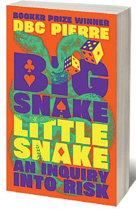 Cover of Big Snake, Little Snake: An Inquiry into Risk