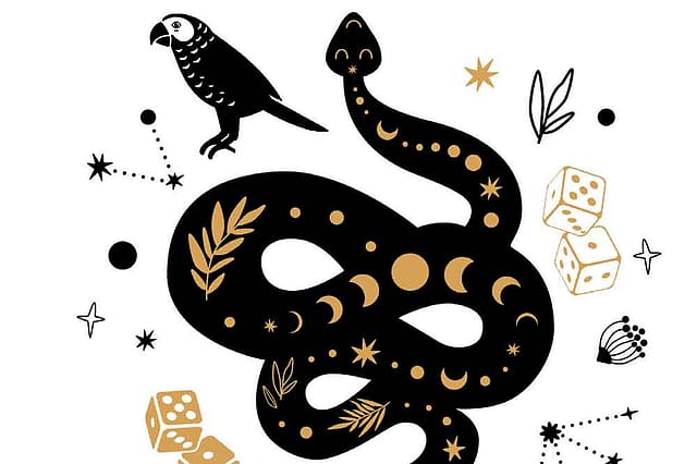 The Gambler’s Choice