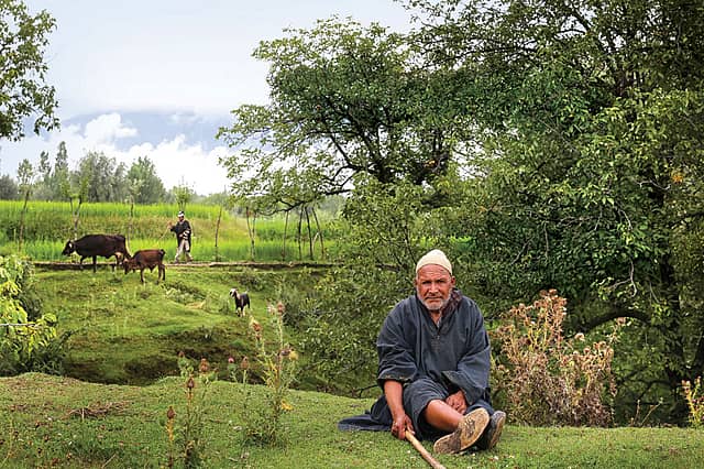 A Whiff of Deradicalisation