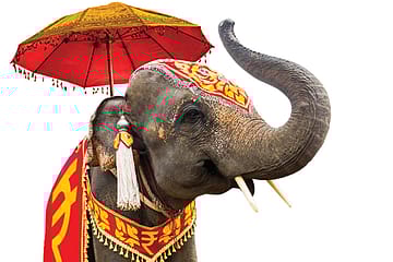 Thunder from the East