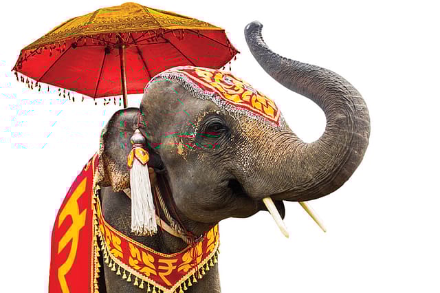 Thunder from the East