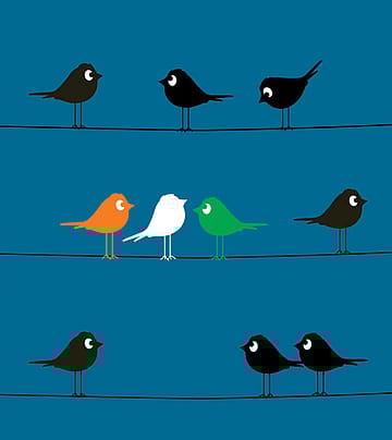 The Pet Peeves of Expats