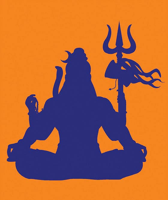 Why Shiva Shines