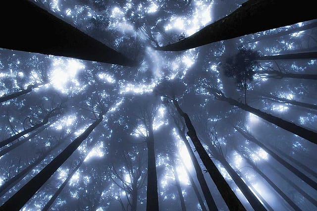 View from the Ground Floor