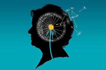 In Search of a Metaphor