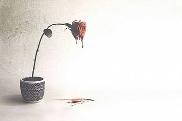 Shot Through the Heart