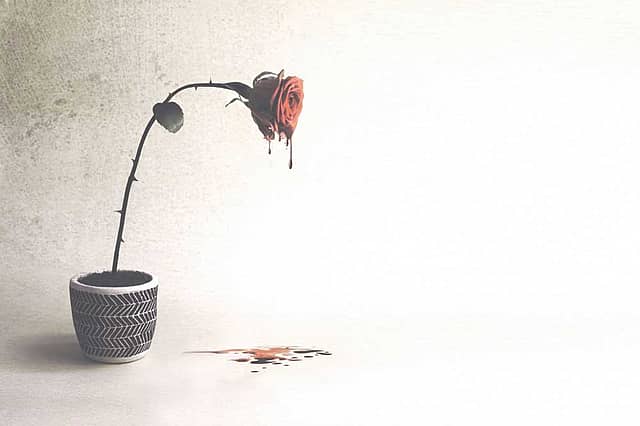 Shot Through the Heart