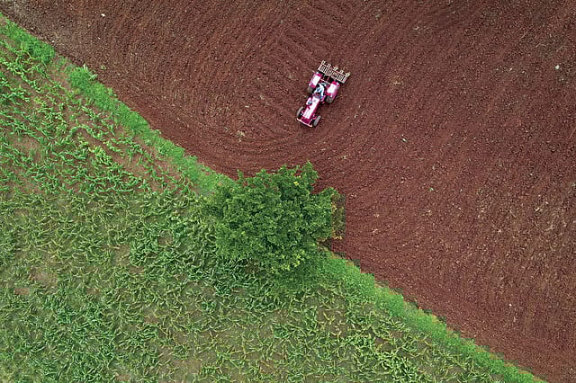 Painting the Rainbow