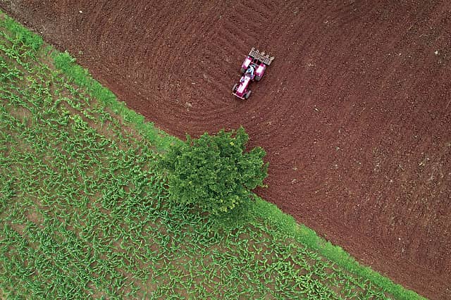 Painting the Rainbow