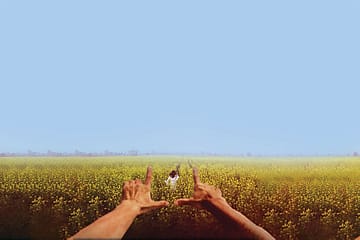 Looking for Love with Yash Chopra