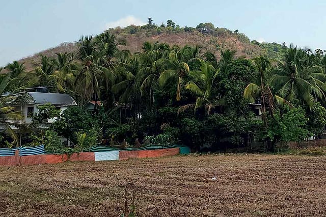 Reliving the  Myth of the Enlightened Madman