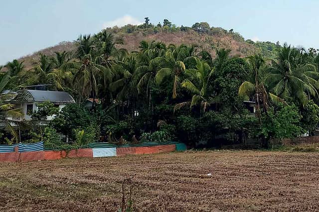 Reliving the Myth of the Enlightened Madman