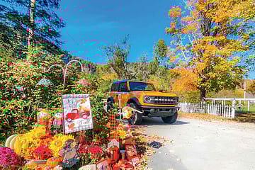 Going Native In a Ford Bronco