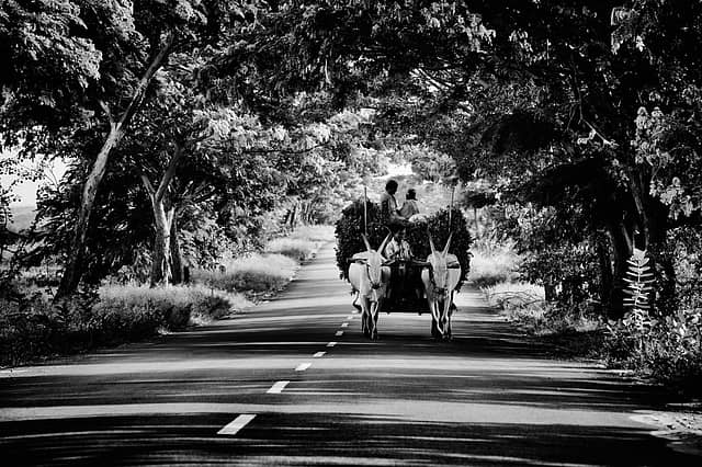 Searching for Orwell