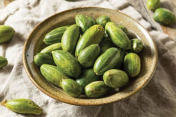 Gourd of Small Things