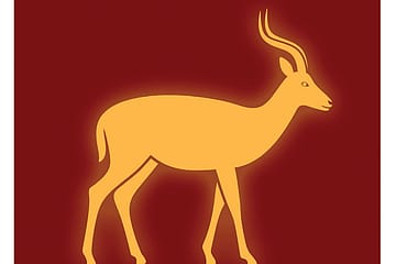 The Stag and the Doe