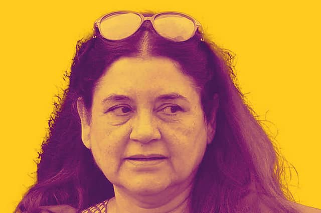 Maneka’s journey