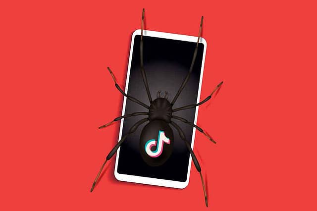 The TikTok Trap