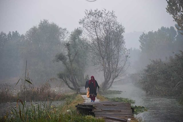 A Line Runs through It