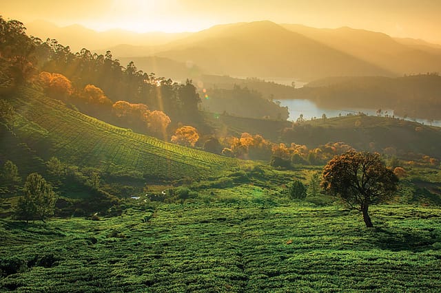 Tamil Nadu: Discovering the Magical Nilgiris