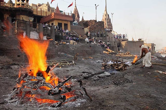 Where Life and Death Coexist