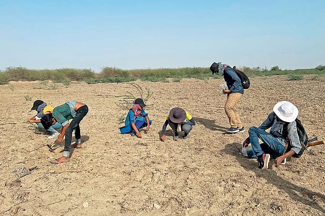 Origins of an Ending Origins of an Ending