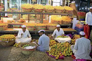 The Alphonso Identity Crisis