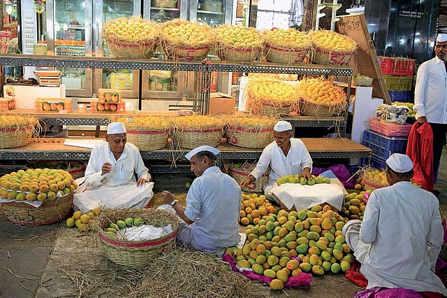 The Alphonso Identity Crisis