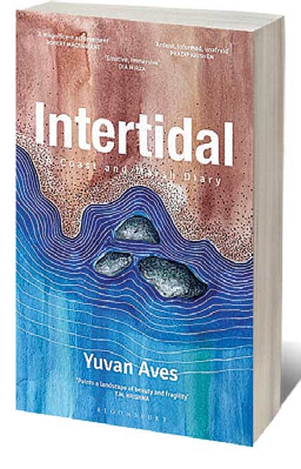 Cover of Intertidal: A Coast and Marsh Diary