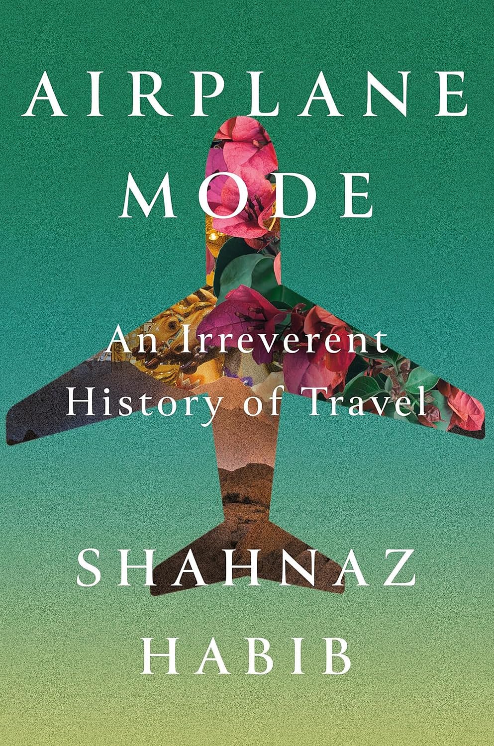 Cover of Airplane Mode  A Passive-Aggressive History of Travel