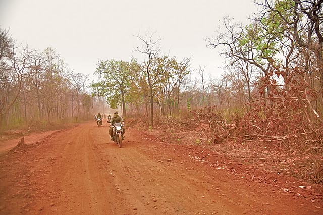 The Frontline of Democracy