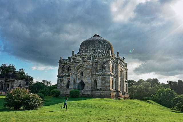 Garden Variety Garden Variety