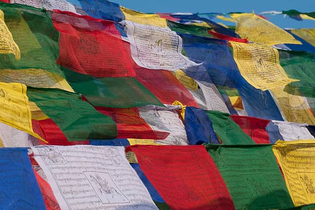 Calls of Kathmandu