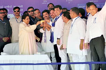 Lotus In an Elephant Trunk