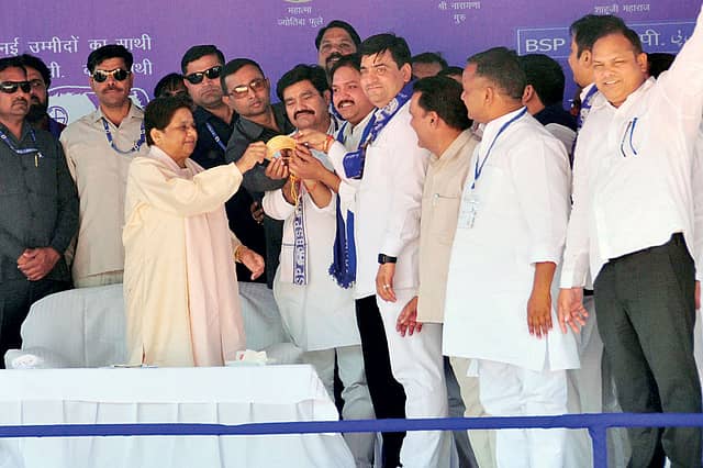 Lotus In an Elephant Trunk