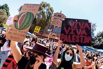 The Faux Campus Revolution