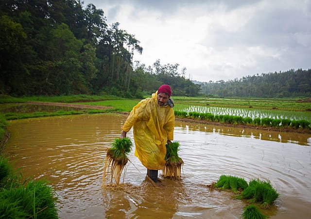 Reciprocity, protection of farm sector key to India-US trade deal
