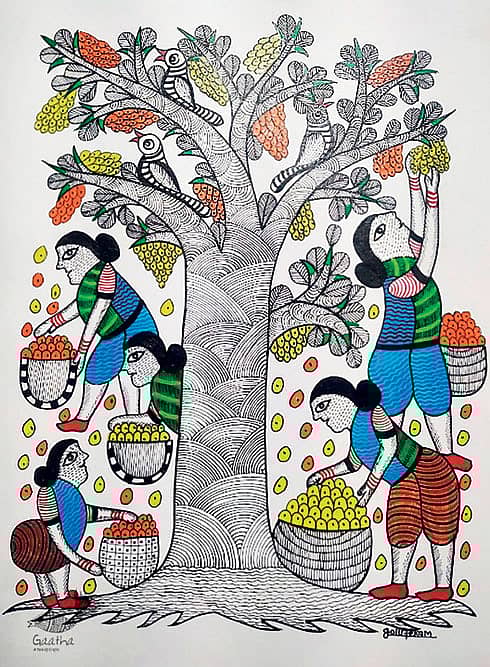 Fruit of the Nation